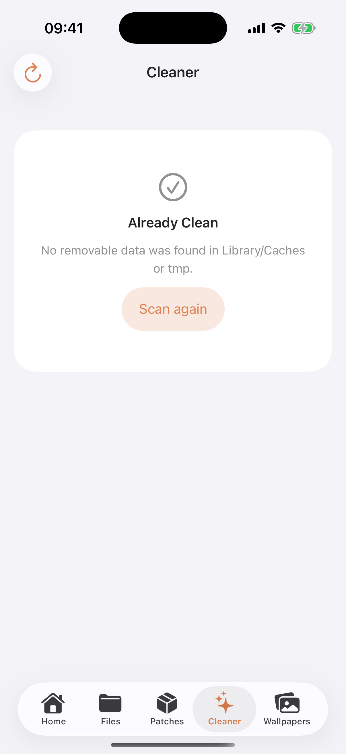 3105 Limited Cleaner